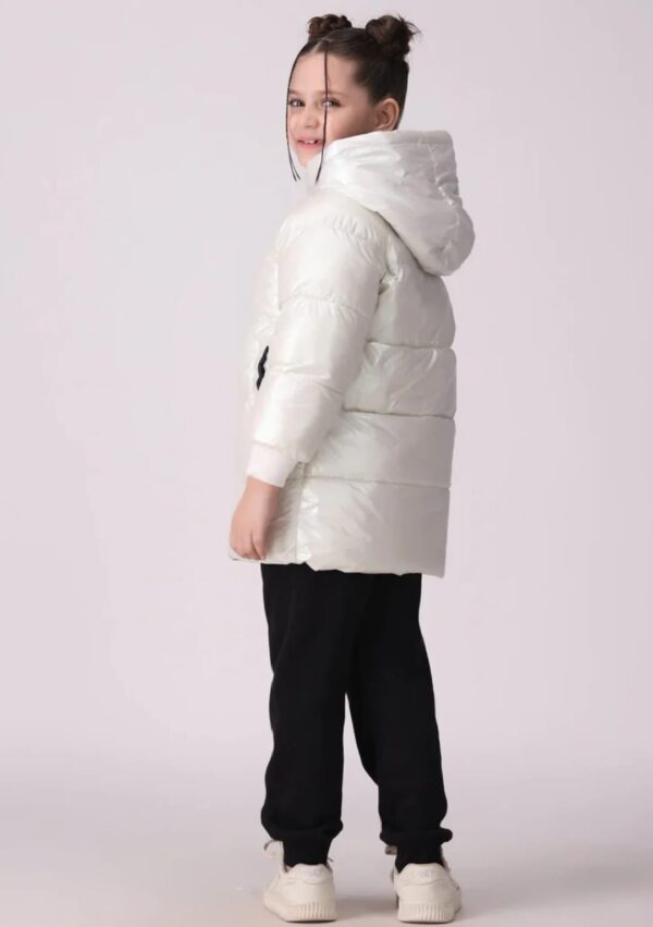 Shining Quilited jacket With Hood - Image 3