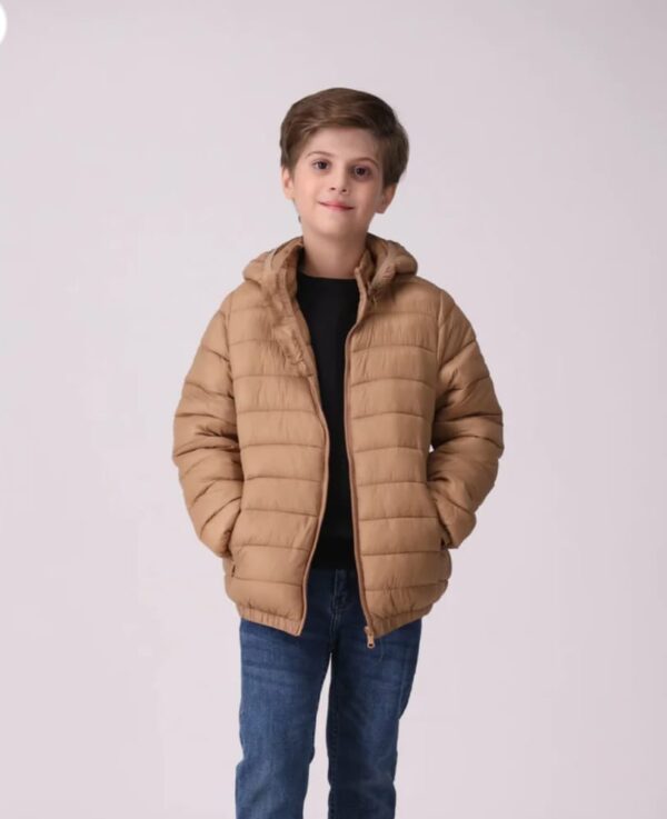 Puffer jacket With Detchable Hood