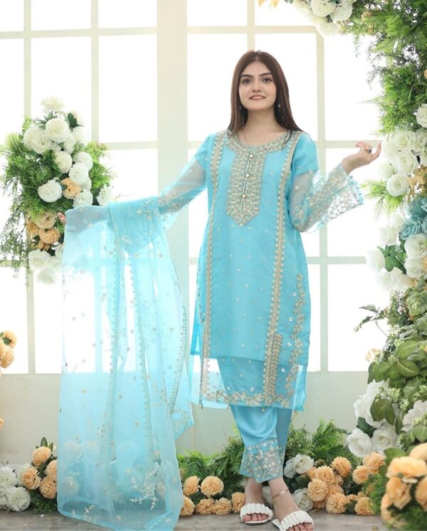 Girls Fancy Organaza 3pc Suit - Image 2