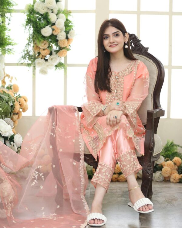 Girls Fancy Organaza 3pc Suit - Image 6