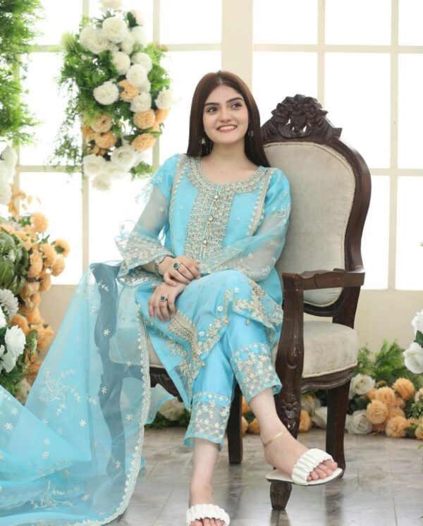 Girls Fancy Organaza 3pc Suit - Image 9