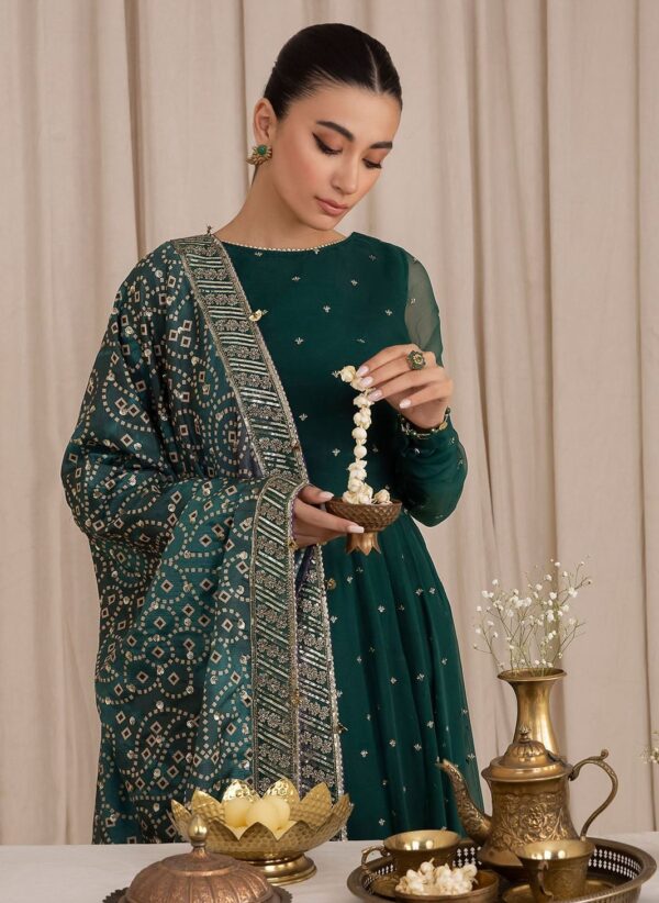 GIRLS CHIFFION EMBRODIRED SUIT