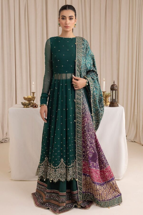 GIRLS CHIFFION EMBRODIRED SUIT - Image 3